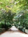 Park Buen-Retiro, Madrid, Spain Royalty Free Stock Photo