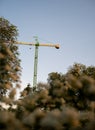 Park and build a crane on a background of flowers