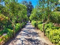 Park with bushes and stones. Beautiful nature outdoor garden. Pistachio tree orchard in spring. Beautiful wooden door in a stone Royalty Free Stock Photo