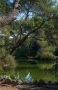 Park Campagne Pastre of Marseille in France