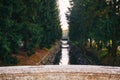 Park Canal with Bridges