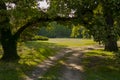 Park of the Castle in Nagymagocs in Hungary Royalty Free Stock Photo