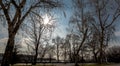 Park on the central embankment of Volgograd in early spring