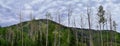 Park City, Empress Pass views of Panoramic Landscape along the Wasatch Front Rocky Mountains, Summer Forests and Cloudscape. Utah. Royalty Free Stock Photo