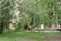 park in the city with flowering trees in spring