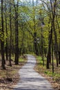 Park in city during sunny day with trees, bench, road path, lamp lanterns in springtime Royalty Free Stock Photo