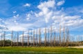 Park close to Lake Banyoles in Girona, Spain