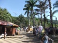 Park with coconut trees in the city of Ãguas de LindÃ³ia