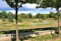 Rose Garden in Citadel Park in Poznan, Poland