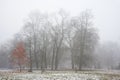 Park in december after the first snow in fog Royalty Free Stock Photo