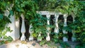 Park design details. The white stone balustrade is braided with lianas.