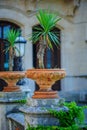 Park detail with plants in pot at Miramare castle, Trieste, Italy