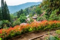 Park at Doi Pui Mong hill tribe village Royalty Free Stock Photo