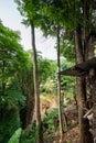 Park at Doi Pui Mong hill tribe village Royalty Free Stock Photo