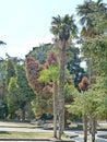 Park Dulber Palace. Building in Oriental style was built according to the sketches of Grand Duke Peter Romanov