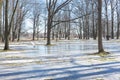 Park in early spring on a bright sunny day, snowmelt in March, spring flood