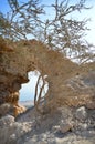 Park of Ein Gedi