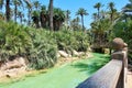 El Palmeral park, Alicante, Spain