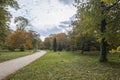 Park in fall with benches and yellow leaves Royalty Free Stock Photo