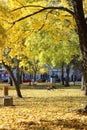 Park in Fall