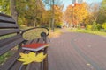 In the park, fallen leaves lie on a wooden bench along with red notebook. Notebook bookmark is autumn leaves. In the background