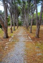 park on Filerimos mountain.Greece, Rhodes.