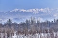 Park of First President, Almaty, Kazakhstan. Mountains of Trans-Ili Alatau. Winter landscape. Royalty Free Stock Photo