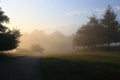 Park in Foggy Morning