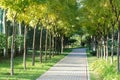 Park footway Royalty Free Stock Photo