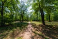 Park forest ground trail natural outdoor path way for walking and promenade