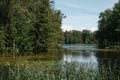 Park with a forest lake, northern summer, a view of the lake with reeds and water lilies. Landscape photography, sunny day Royalty Free Stock Photo