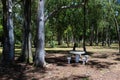 Park, forest, picnic area and table. Park in Beja, Portugal Royalty Free Stock Photo