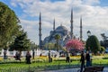 The Park in front of the Blue mosque in the spring Royalty Free Stock Photo