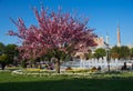 Park in front of Hagia Sofia in the spring Royalty Free Stock Photo