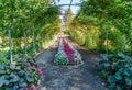 Park Garden Arbor Royalty Free Stock Photo