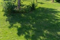 A park or garden is a shady, fresh lawn with a wide background or the texture of green grass. The shadow of a tree. The Royalty Free Stock Photo