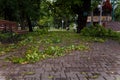 Park with green fallen leaves and branches. Thunderstorm, heavy rain with hail consequences. Climate changes, environment Royalty Free Stock Photo