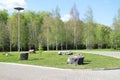 Park with green grass, large decorative boulders