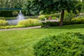 Park with green grass lawn and pond with reeds and fountain summer backyard landscape. Royalty Free Stock Photo