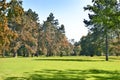 Park with green meadow and forest Royalty Free Stock Photo