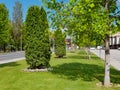 Park with green tree and grass for background and foreground