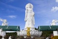 Park Guanyin Royalty Free Stock Photo