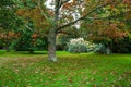 English countryside in the fall season Royalty Free Stock Photo