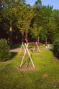 The park has three young trees, fortified with triangular supports from boards Royalty Free Stock Photo