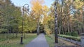 The park has a tile walkway between tall coniferous and deciduous trees with yellowing foliage. Along the edges of the path is a m