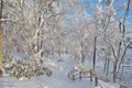 Park in Imatra in winter Royalty Free Stock Photo