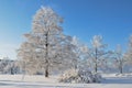Park in Imatra in winter Royalty Free Stock Photo