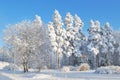Park in Imatra in winter Royalty Free Stock Photo