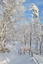 Park in Imatra in winter Royalty Free Stock Photo