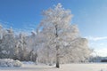 Park in Imatra in winter Royalty Free Stock Photo